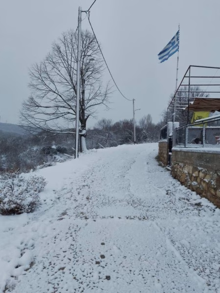 Χιόνια 12 Ιανουαρίου 2026